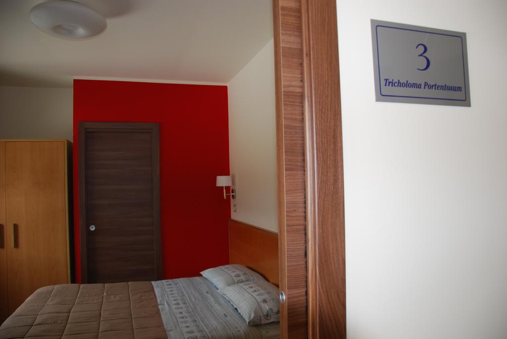 Guest House Caracas Lorica Exterior foto